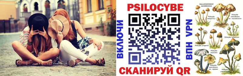 Псилоцибиновые грибы GOLDEN TEACHER  купить   Тара 